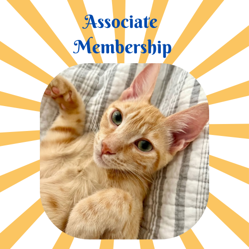 Membership 2025 - Associate