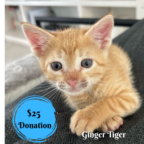 Donation $25