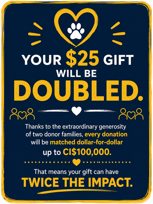 A_New Shelter Donation $25