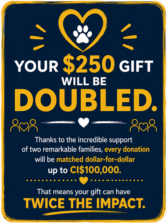 D_New Shelter Donation $250