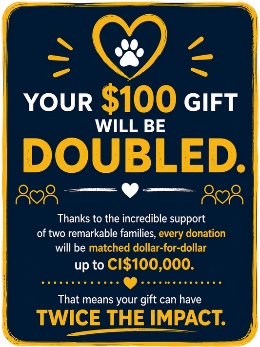 C_New Shelter Donation $100