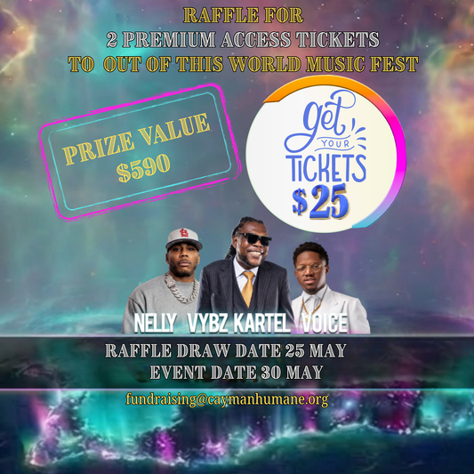 2026 Out of This World Music Festival - Raffle Tickets
